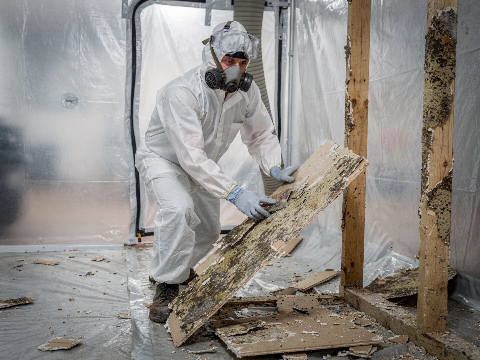 Kiwi Restoration technician performing controlled removal and remediation work in a contained area